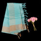 Sea Green Tussar Silk Saree | Raw Silk Saree for Weddings | Tussar Silk with Gold Border | Authentic Bhagalpur Tussar Saree
